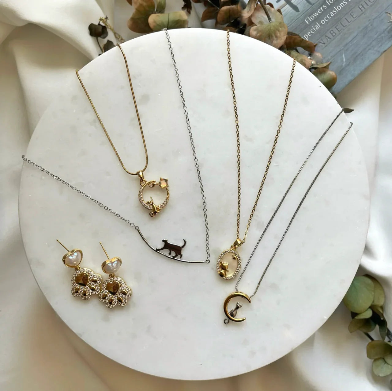 Kediseverlerin Yeni Gözdesi